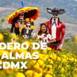 ¡Visita los campos de cempasúchil en CDMX! Habrá recorridos en tractor: fechas y ubicación