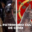 Cultura en torno al perro xoloitzcuintle ya es Patrimonio Inmaterial de CDMX