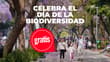 Talleres, charlas y biodiversidad: regresa el Zócalo de las Ciencias a CDMX; fecha y sede