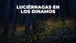 Avistamiento de luciérnagas en Los Dinamos 2026: fechas y costos
