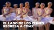 El ballet más famoso del mundo regresa a CDMX: Todo sobre El lago de los cisnes con orquesta en vivo