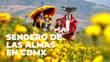 ¡Visita los campos de cempasúchil en CDMX! Habrá recorridos en tractor: fechas y ubicación