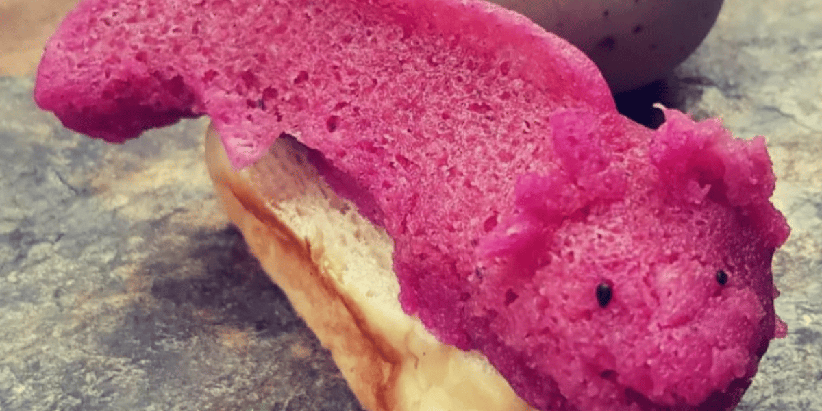 wow xolotas tamal ajolote