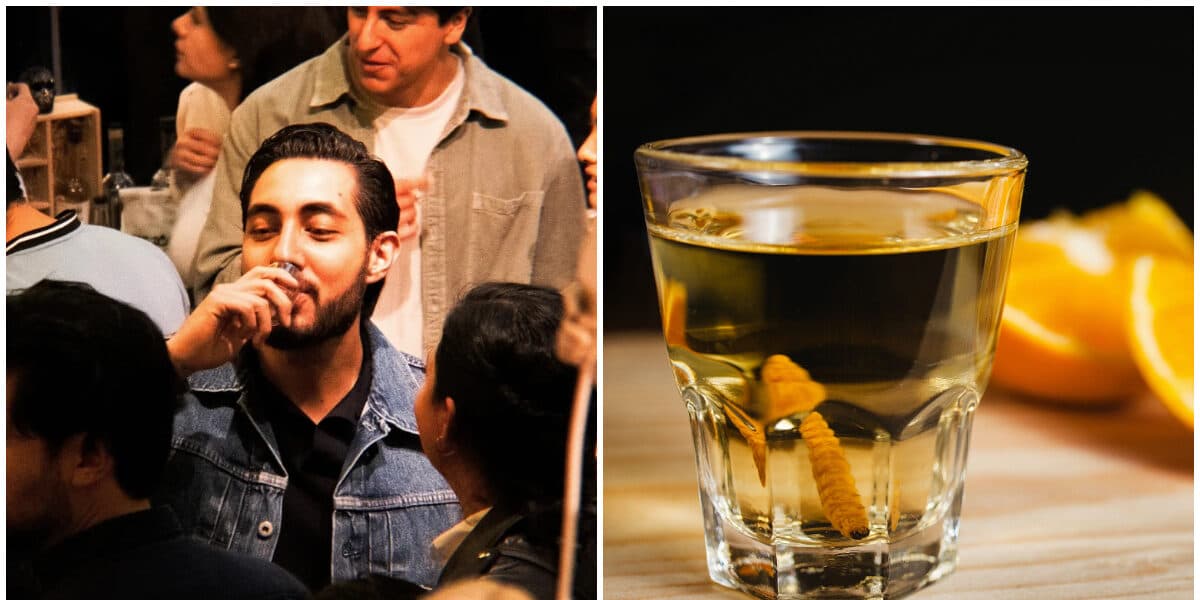 Los Mezcales del norte llegan a la CDMX con el Mezcal Fest