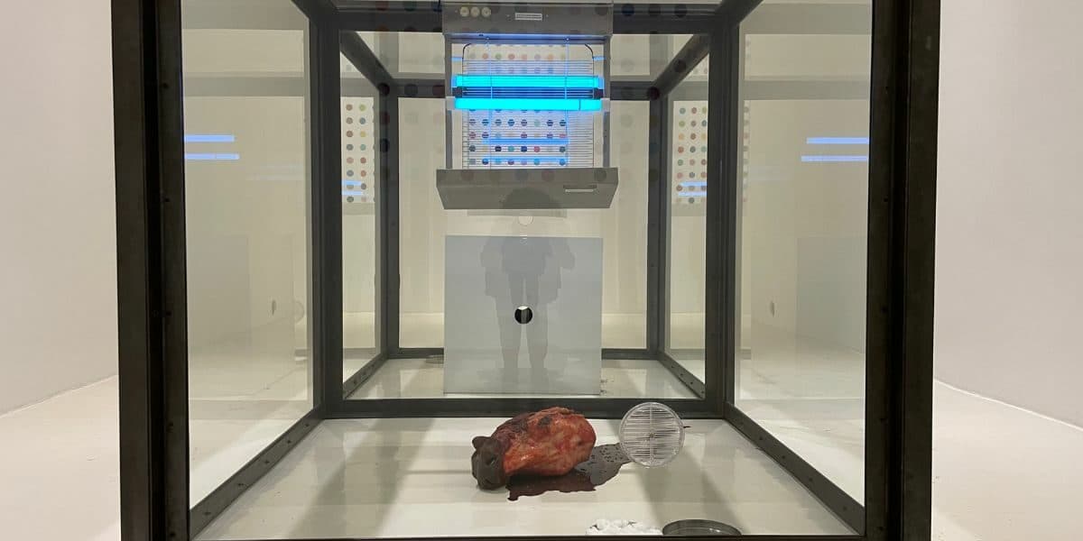 Damien Hirst en Galería Hilario Galguera CDMX.