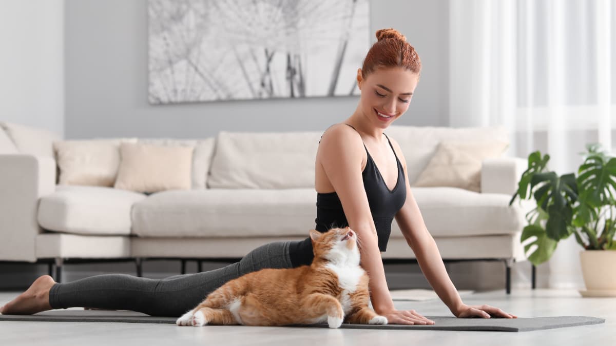 ¿Cuándo es el día internacional del yoga?