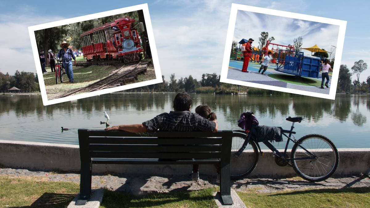 Festival del Bosque de Aragón