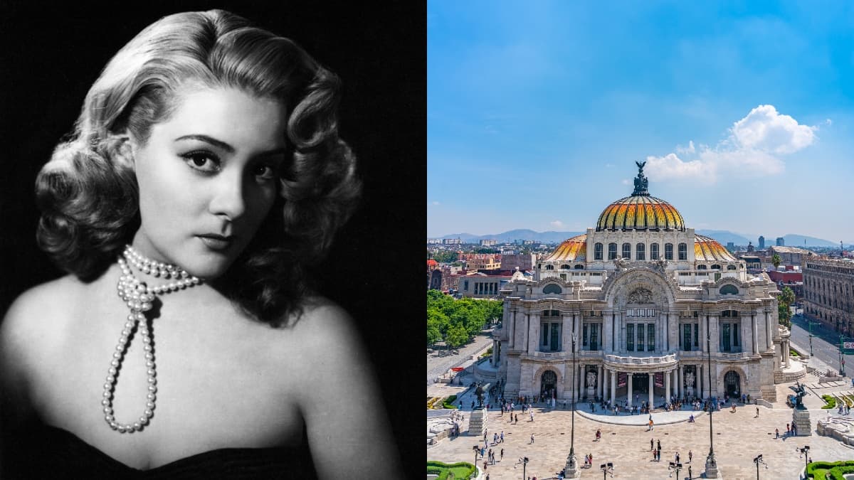 Silvia Pinal bellas artes