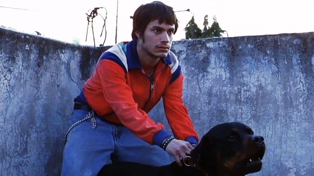 Sueño Perro: Alejandro G. Iñárritu revive Amores perros con instalación multisensorial