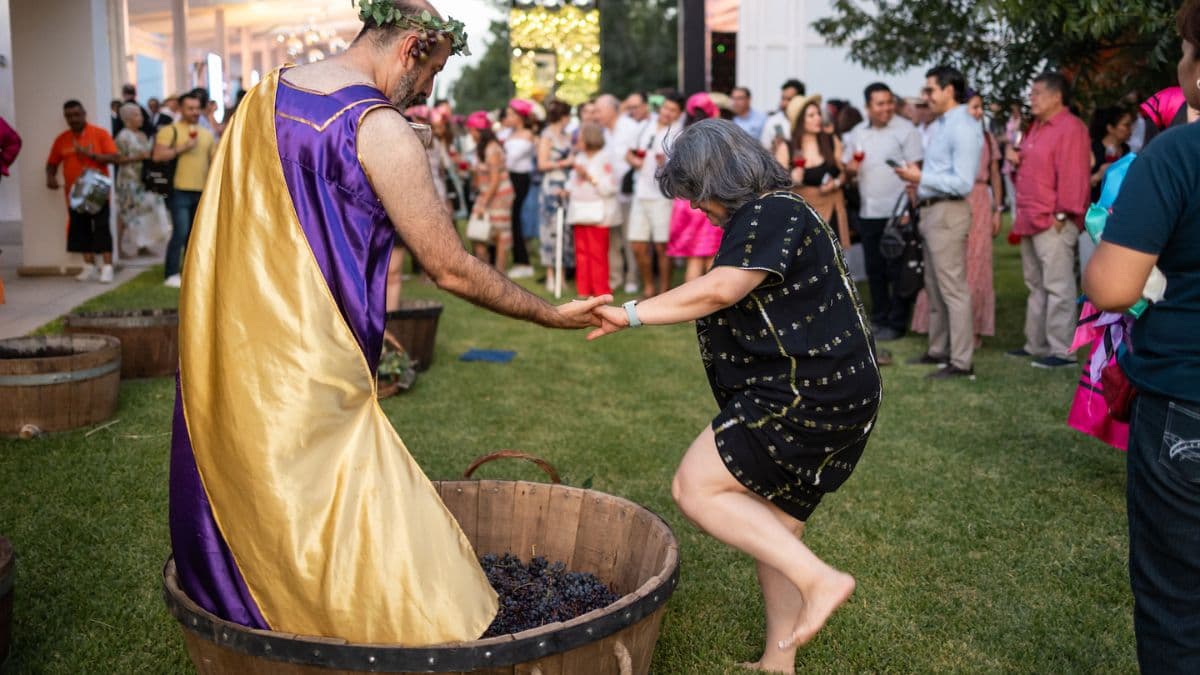 Asistentes pisando uvas en la Vendiamia 2025.