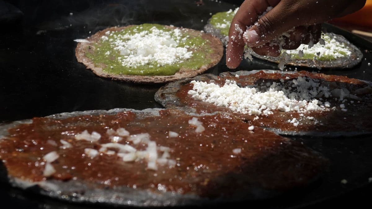 Expo garnachas de Halloween