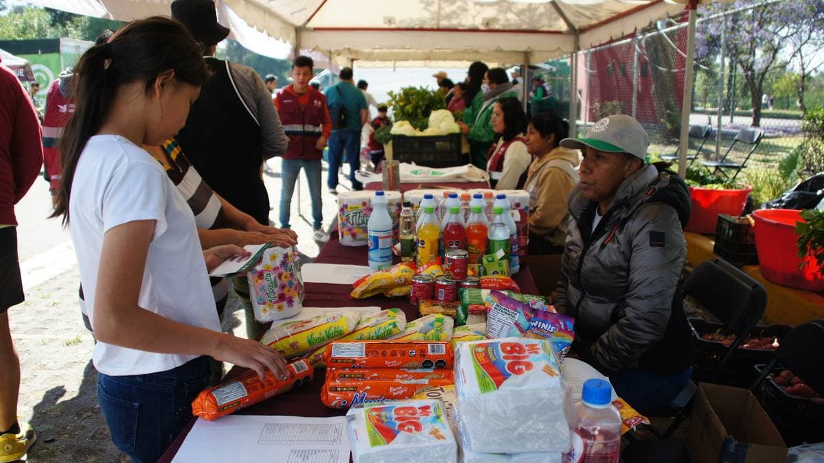 Mercado del Truque en Chapultepec