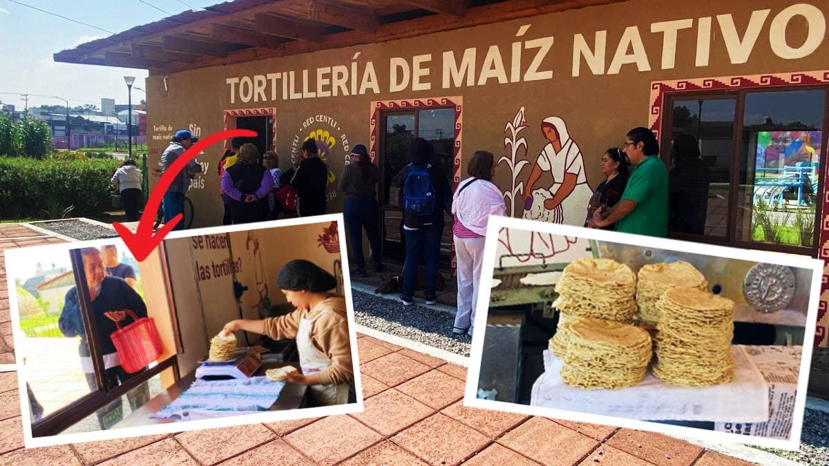 Tortillería de Maíz Nativo de CDMX