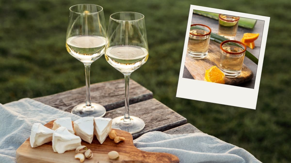 Te decimos dónde será el Festival Entre Vino, Queso y Mezcal.