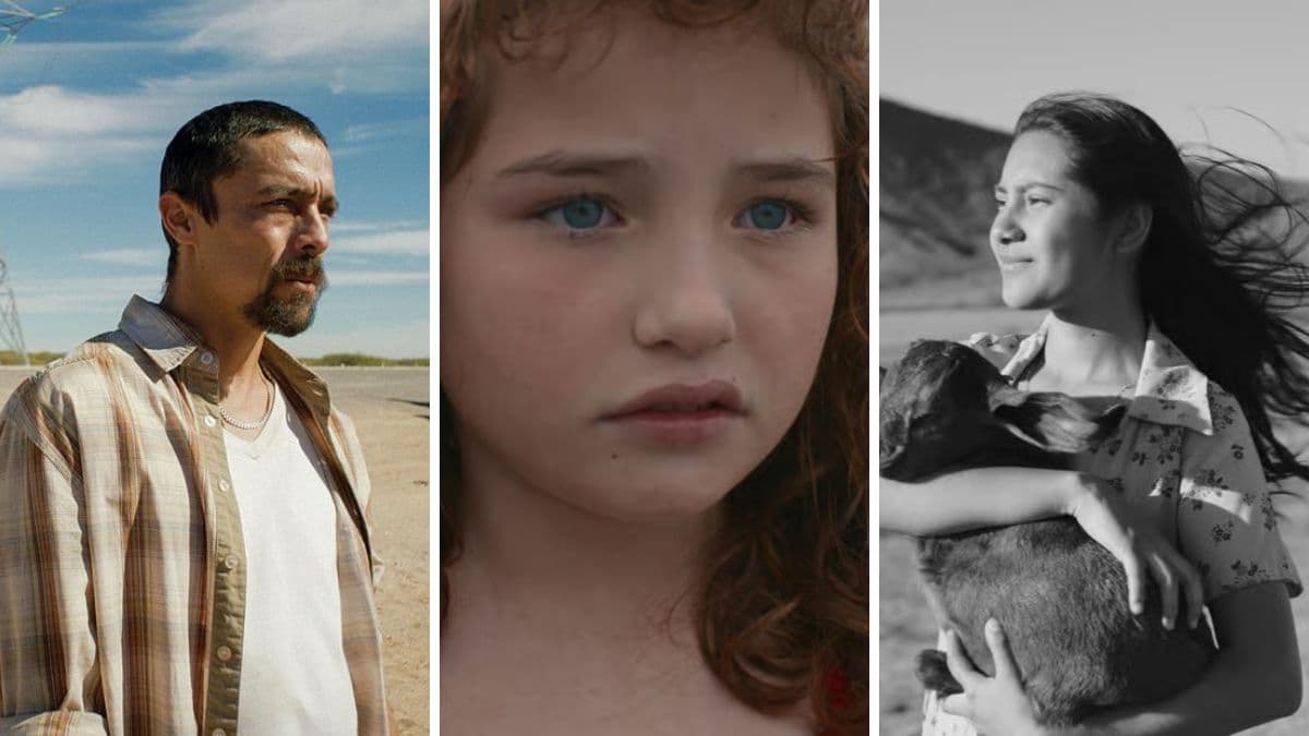 Películas ganadoras del FICM 2025