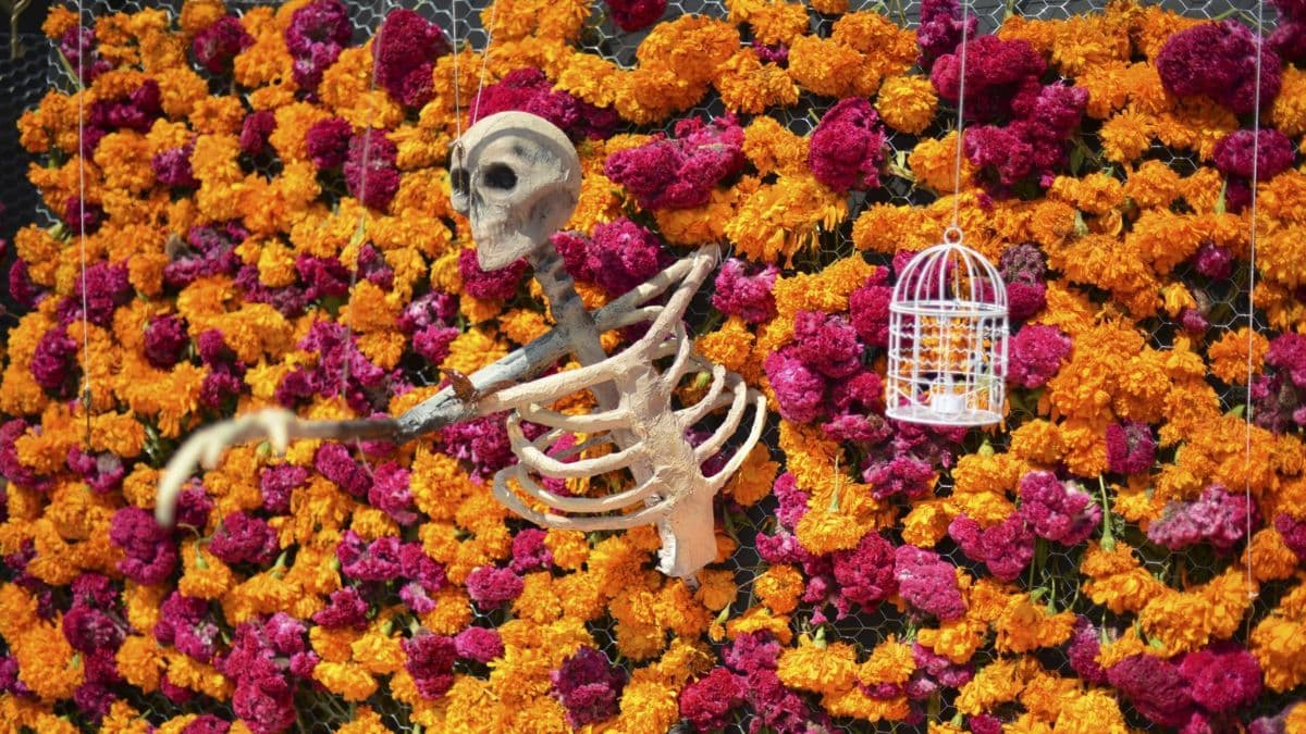 Ya hay fecha para la megaofrenda de la UNAM 2025.