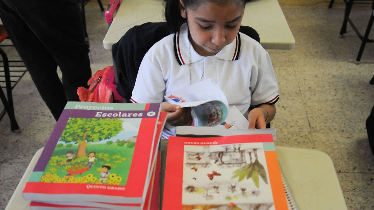 ¿Habrá megapuente en noviembre 2025? Acá te contamos