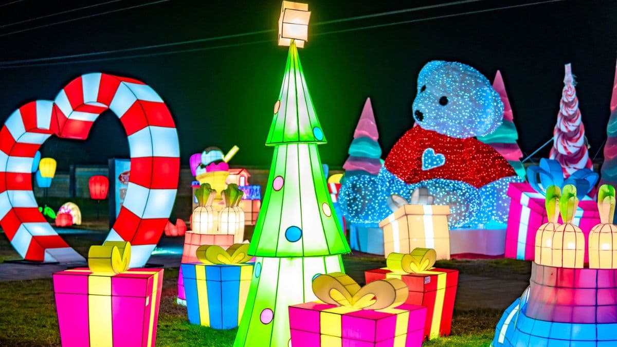 Escapa de la rutina con esta actividad navideña.