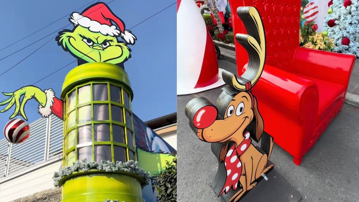 Hay una casa temática del Grinch en la CDMX y acá te contamos dónde encontrarla.