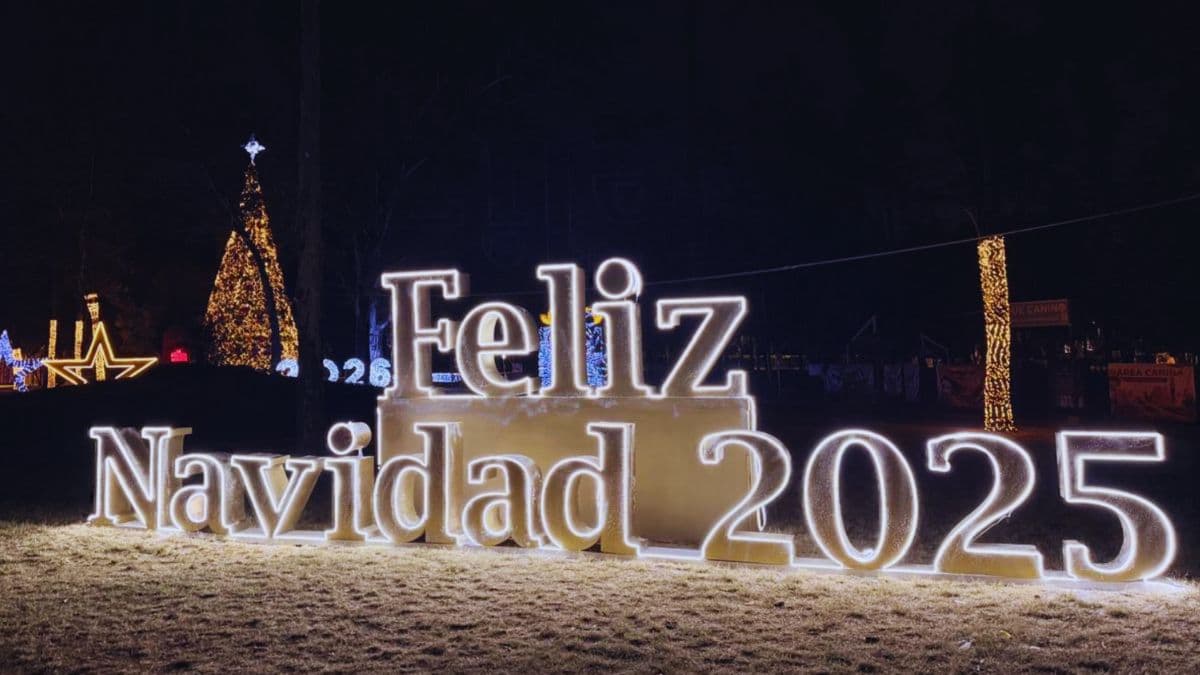¿Buscas un spot para tus fotos navideñas? Ve a Christmas Lights en Parque Naucalli