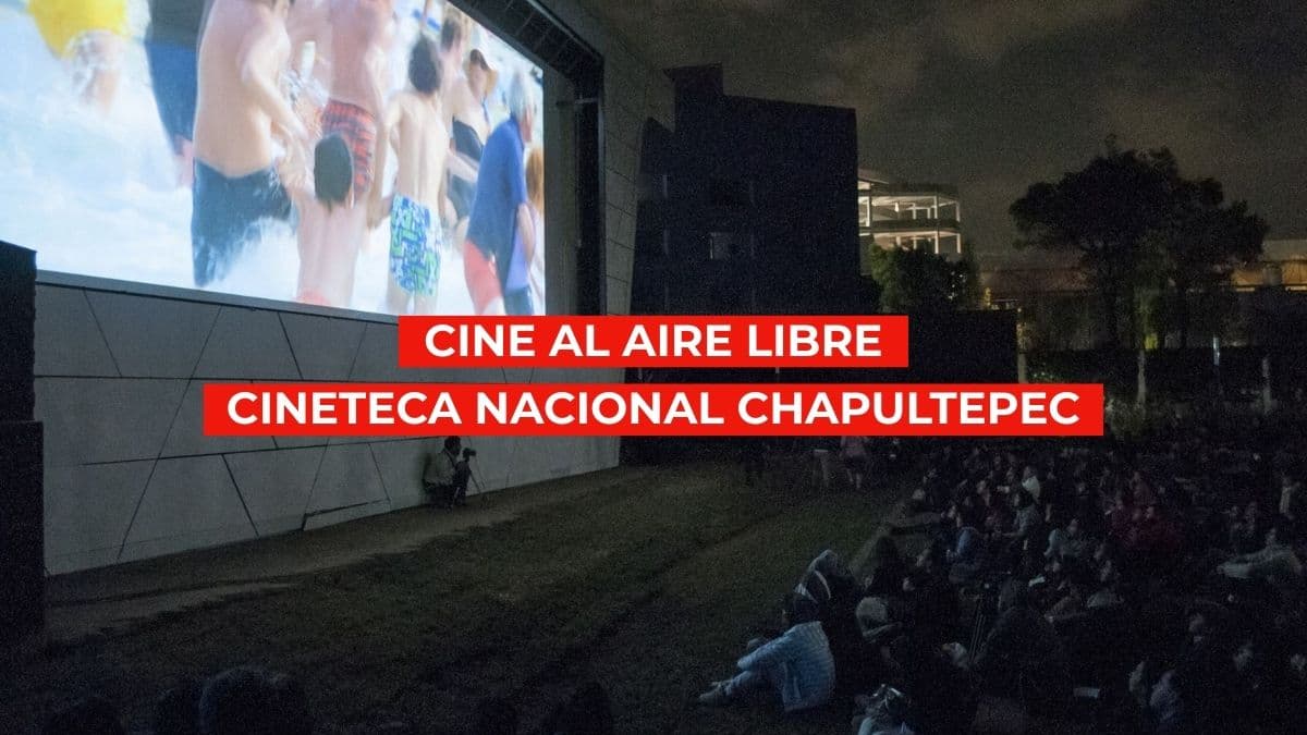 Funciones de cine al aire libre en la Cineteca Nacional Chapultepec.