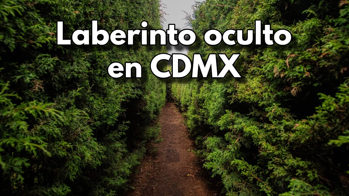 laberinto-en-cdmx
