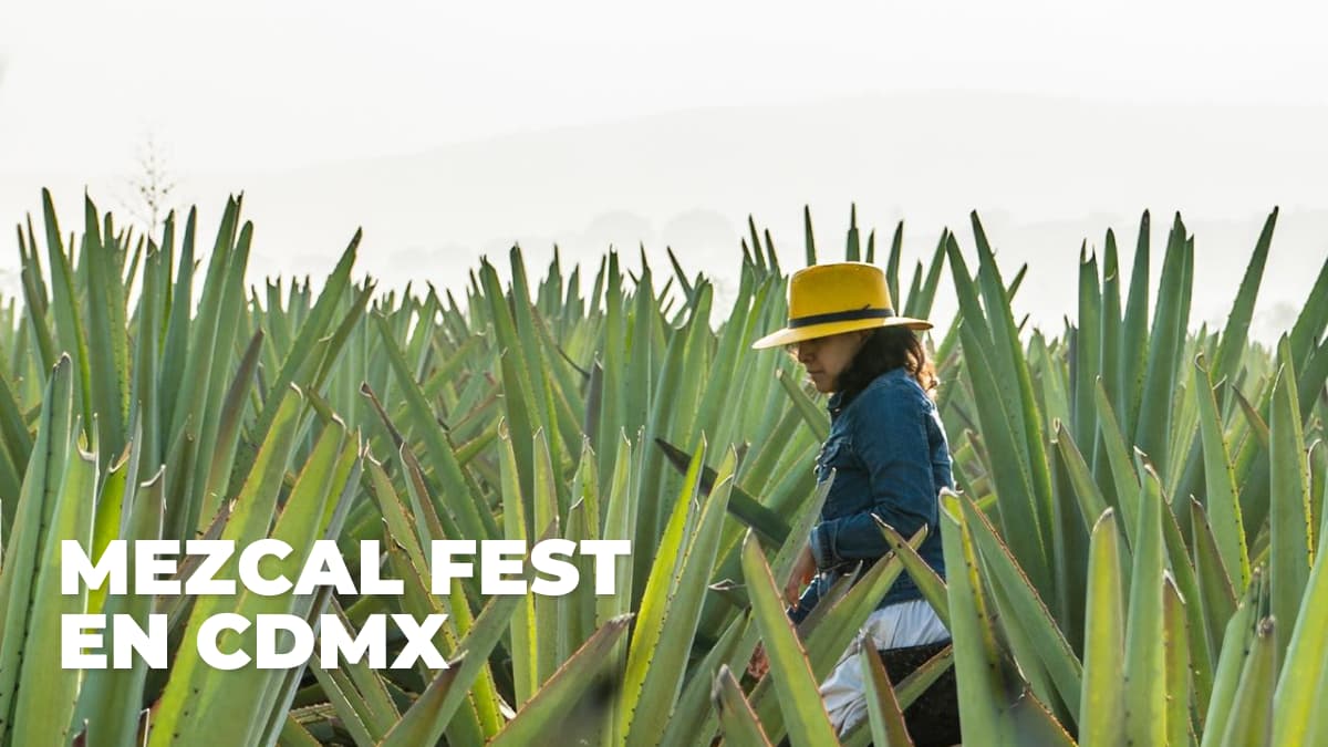 Mezcal Fest 2026 en CDMX: mezcalito, arte, música y buena onda
