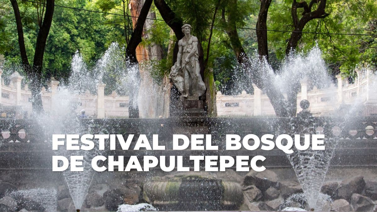 Checa cuándo será la próxima edición.