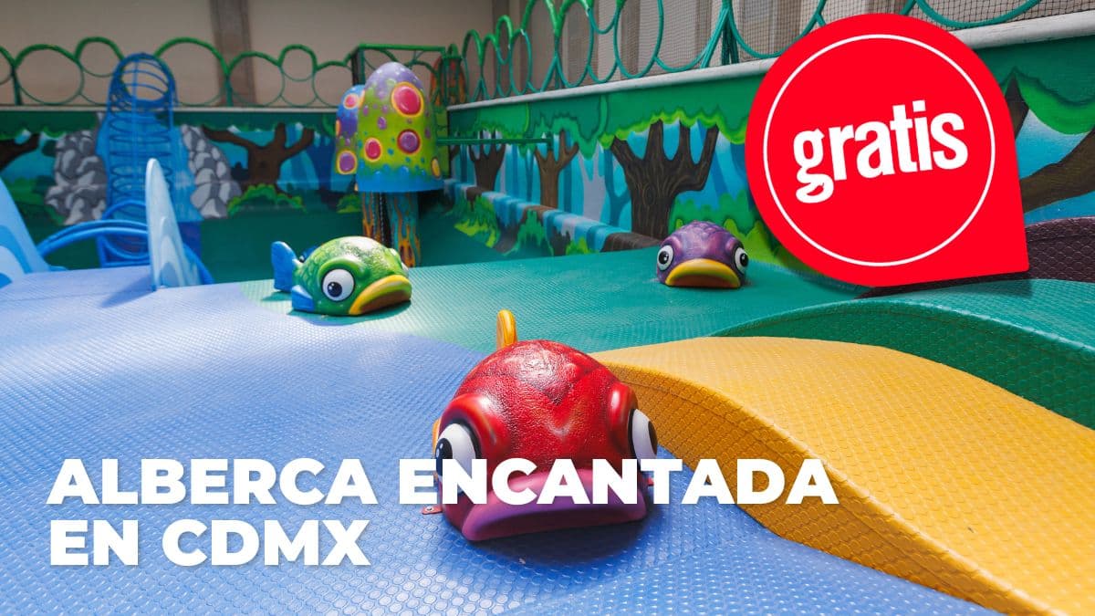 Visita este nuevo espacio en Chapultepec CDMX.