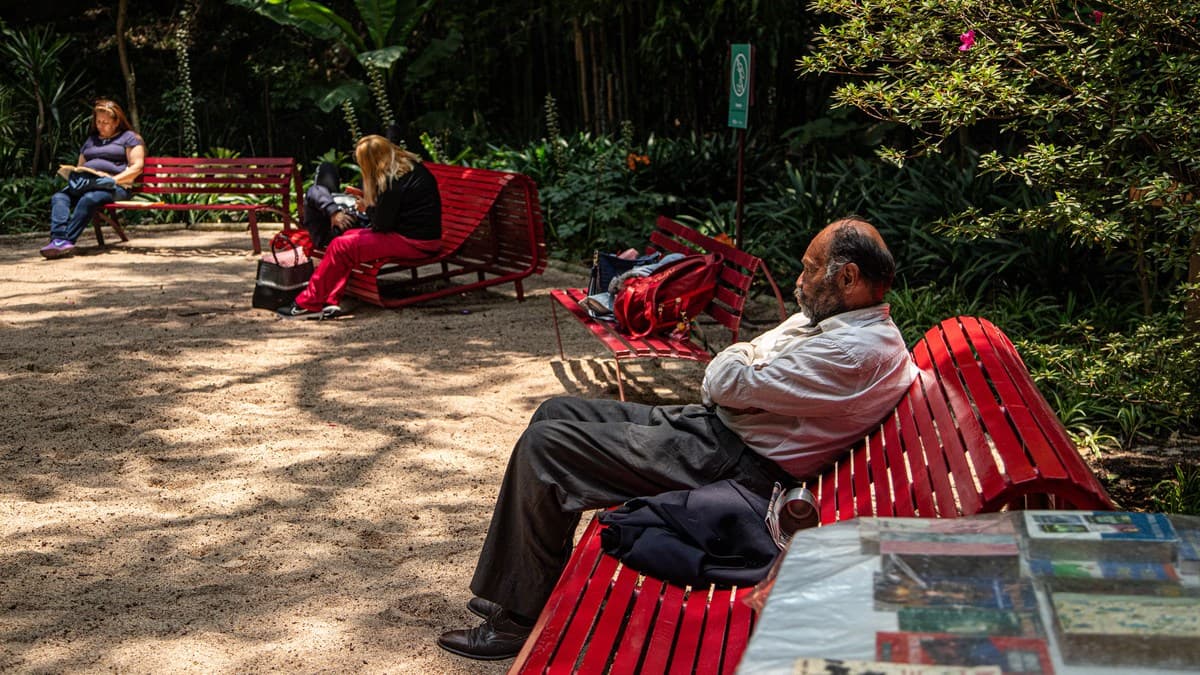audiorama bosque de chapultepec slow living