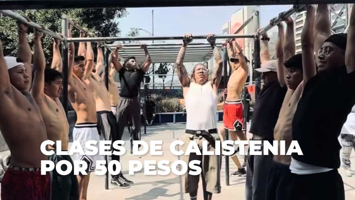 Clases de calistenia por 50 pesos en Barras Insurgentes.