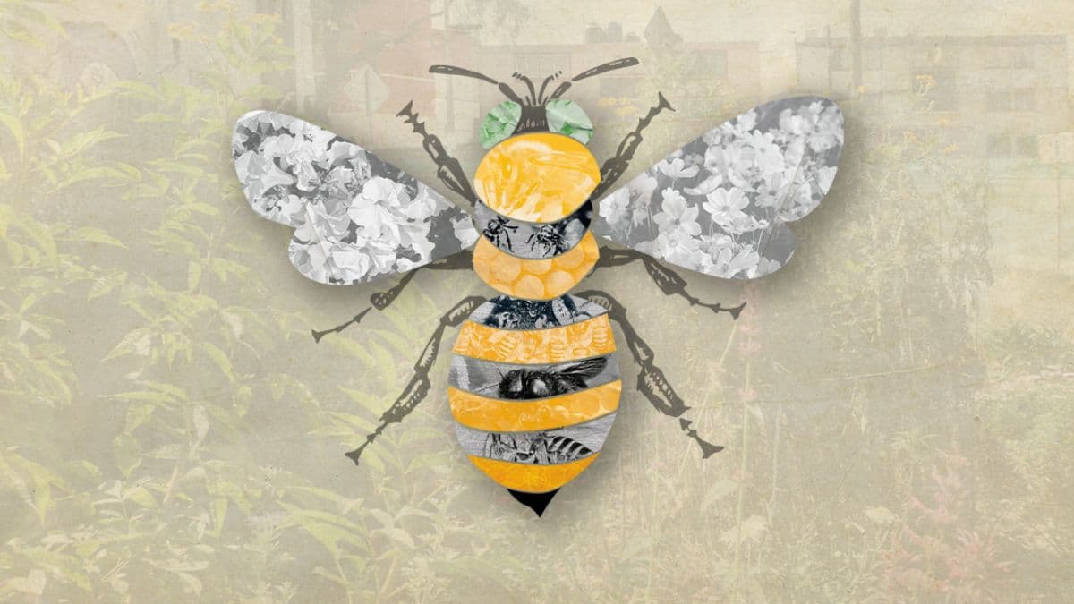 jardines para polinizadores