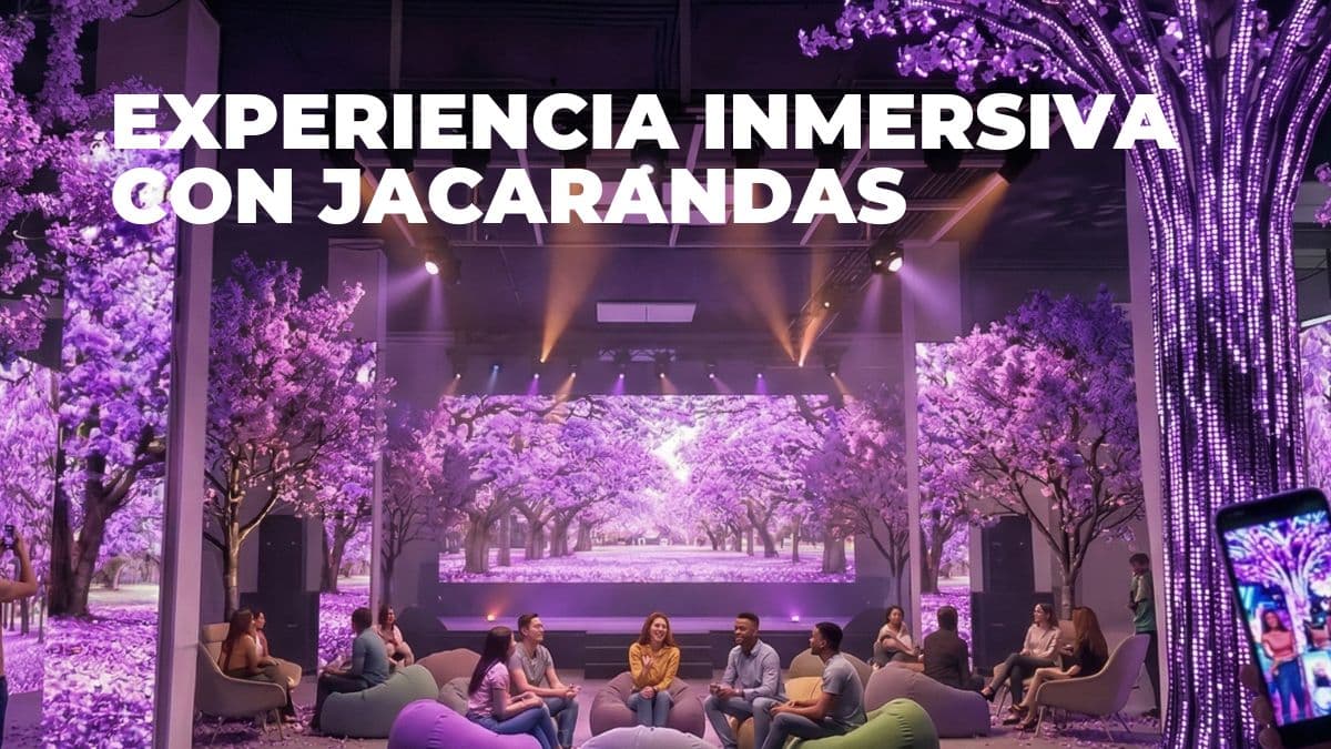 Experiencia inmersiva con jacarandas