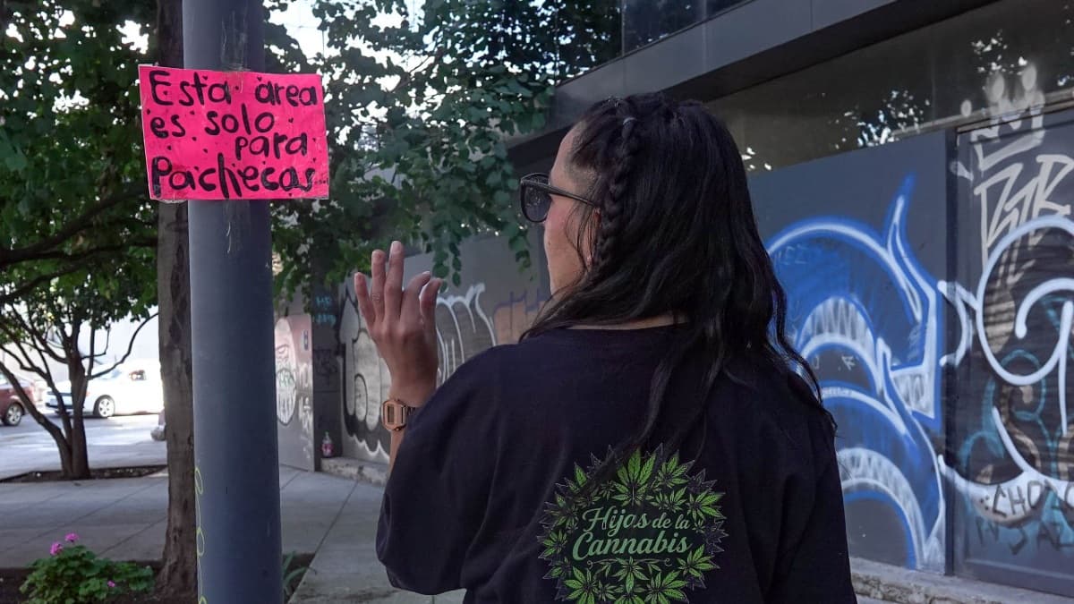 protestando con porro en mano 4:20