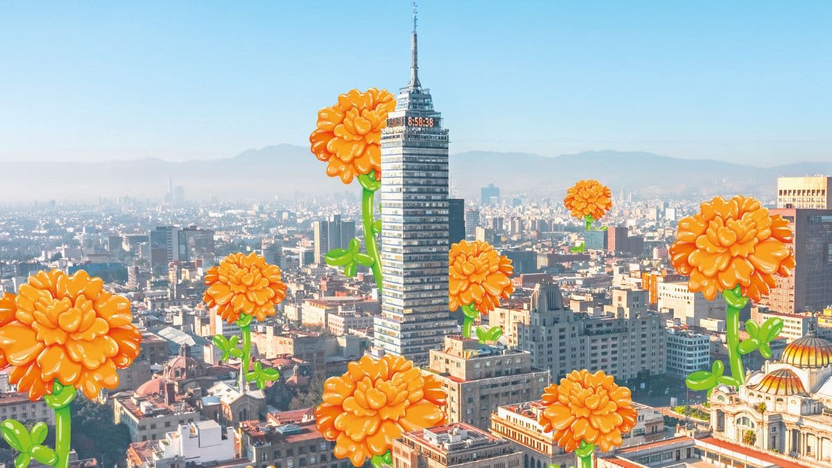 Floricultores de Xochimilco llenarán de cempasúchil la CDMX rumbo al Mundial 2026