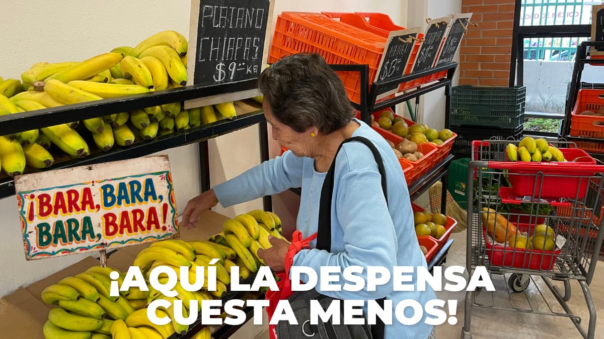 Tienda de la Tierra y programa Del Campo a la Ciudad