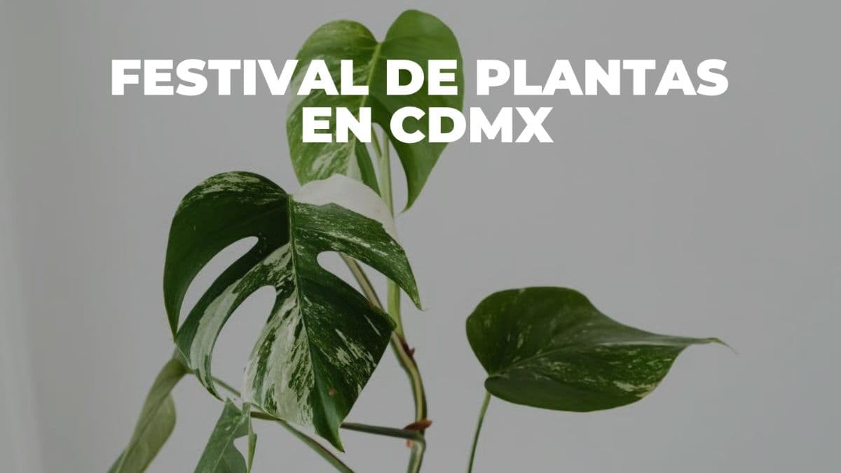 plant-fest-cdmx-2026-entrada-libre