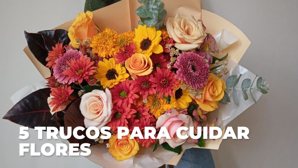 Te damos los mejores tips para que tus flores te duren más tiempo.