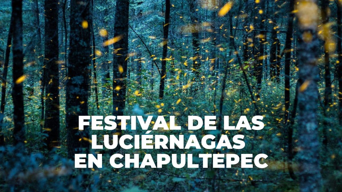 Habrá Festival de las Luciérnagas en CDMX.