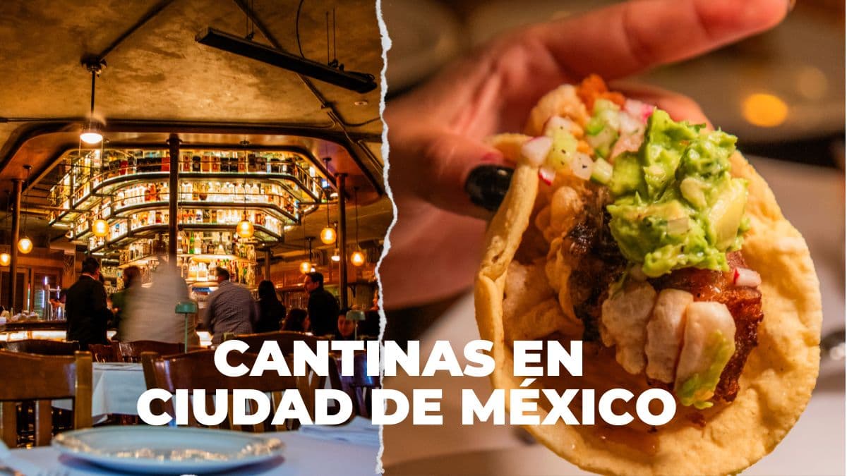 Cantinas en CDMX: dónde comer botana, tomar una cuba y disfrutar como chilango