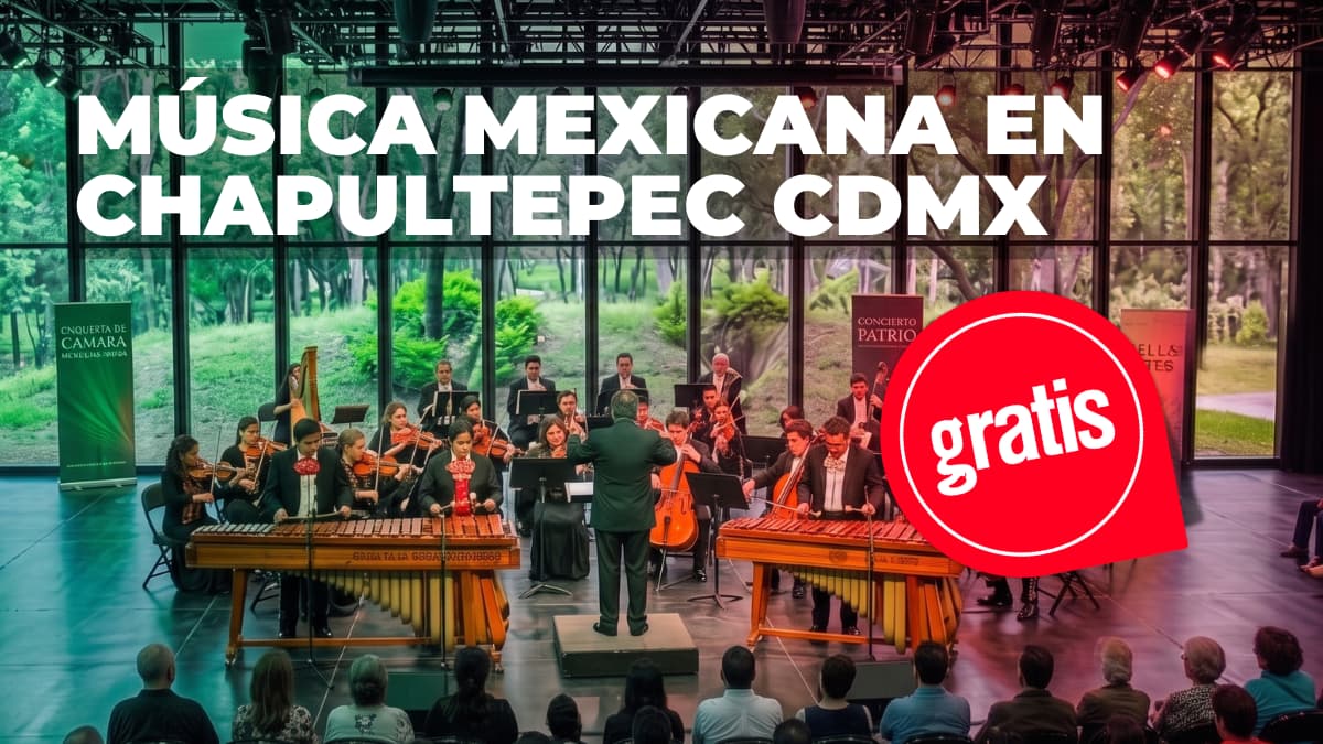 No te pierdas la oportunidad de disfrutar de la Orquesta de Cámara de Bellas Artes.