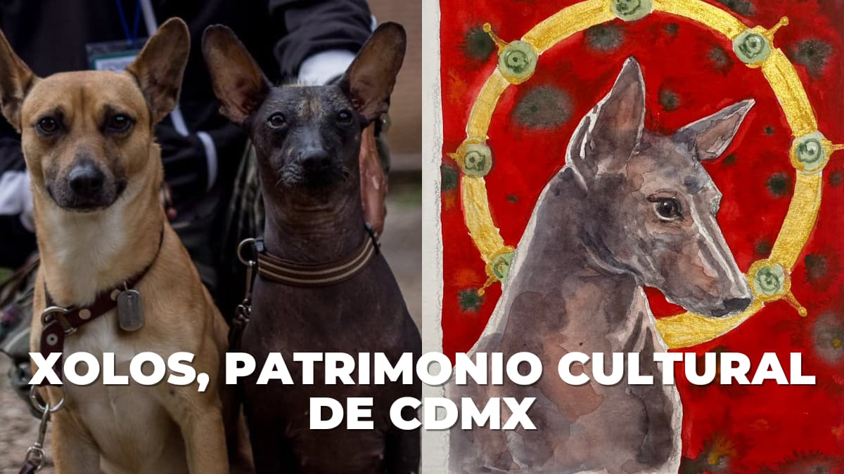 XOLOITZCUINTLE PATRIMONIO CULTRAL DE CDMX
