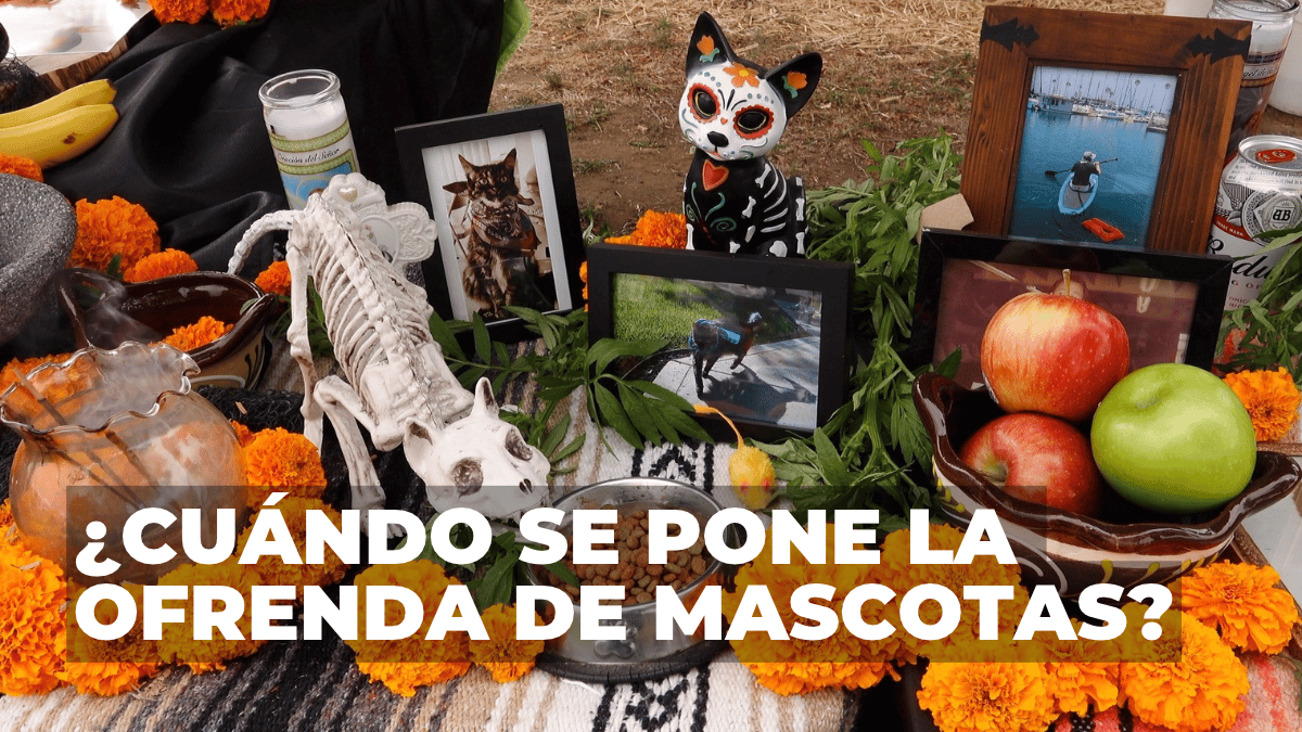 Que no se te pase la fecha para poner el altar de mascotas.
