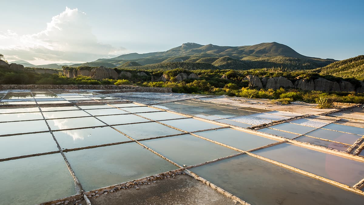 Terrazas artesanales de sal en Zapotitlán Salinas, Puebla.
