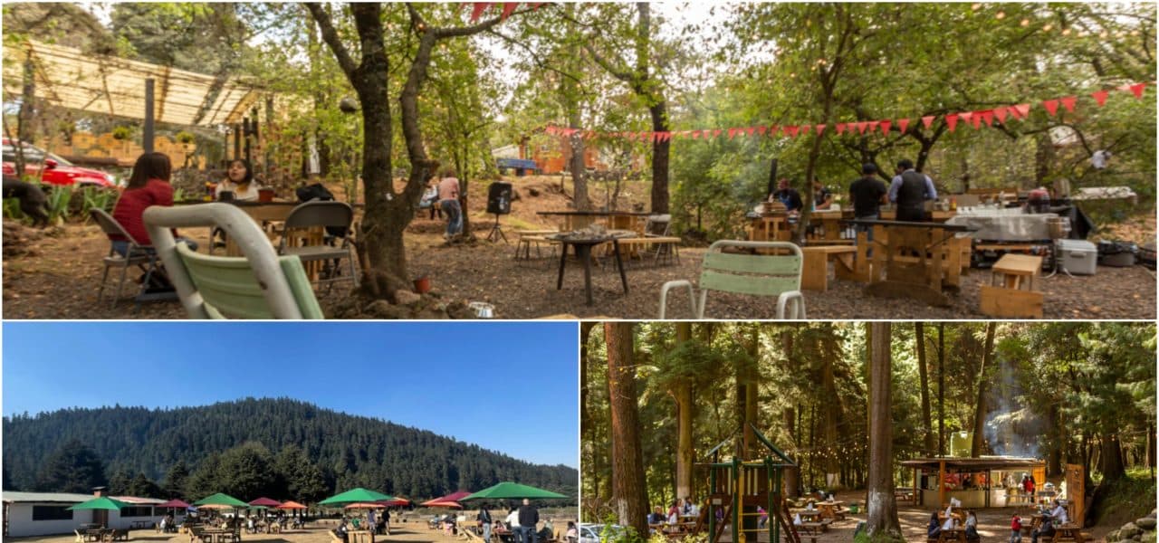 restaurantes en el bosque en CDMX 2