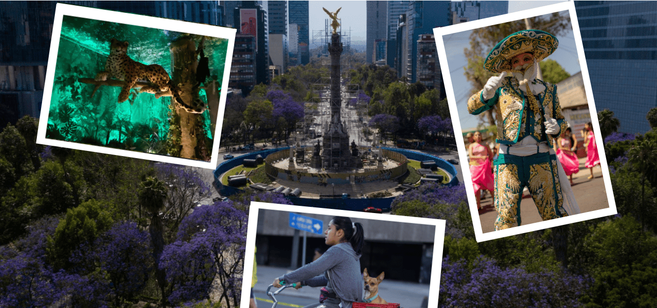 Actividades gratis del fin de semana en CDMX