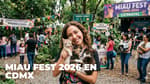 Gatitos en adopción, comida y más en el Miau Fest 2026 en CDMX: ¿cuándo y dónde será?
