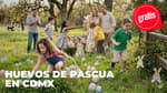 Plan de Semana Santa 2026: habrá búsqueda de huevos de Pascua GRATIS en CDMX