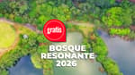 BOSQUE RESONANTE, un diálogo entre música y espacio en Casa del Lago  