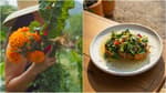 Este restaurante en Tepoztlán lleva la comida del huerto a tu mesa